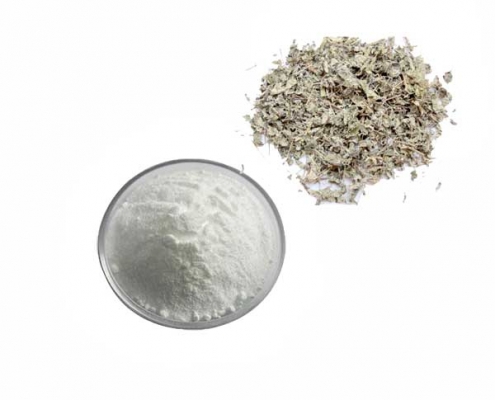liver protection vine tea extract 50% to 98% dihydromyricetin powder manufacturer