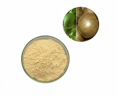 natural sweetener luo han guo monk fruit extract powder mogroside V supplier