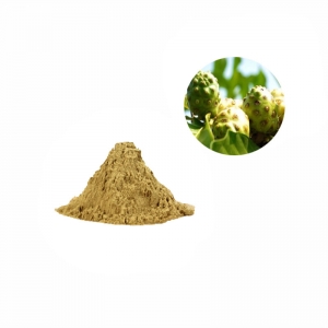 no additives food grade concentrated noni fruit extract powder manufacturer