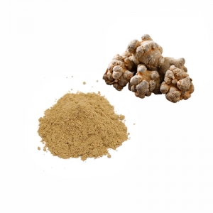 raw material radix panax notoginseng root extract powder saponins manufacturer