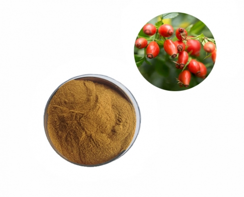 skin whitening benefits rosehip fruit extract powder 5:1 10:1 20:1 manufacturer