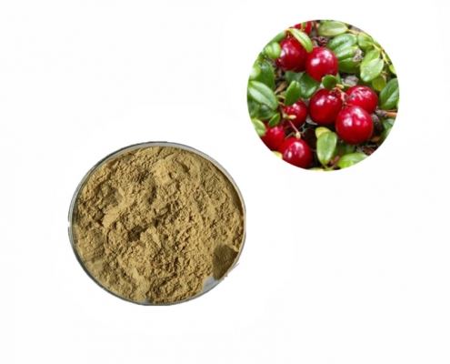 skin whitening uva ursi extract bear fruit leaf extract powder manufacturer