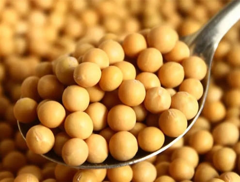 benefits of soybean isoflavone