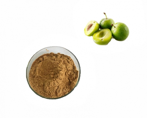 top grade kakadu plum extract powder plum fruit extract powder manufacturer