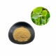 water soluble lysimachiae jin qian cao gold coin grass extract powder supplier