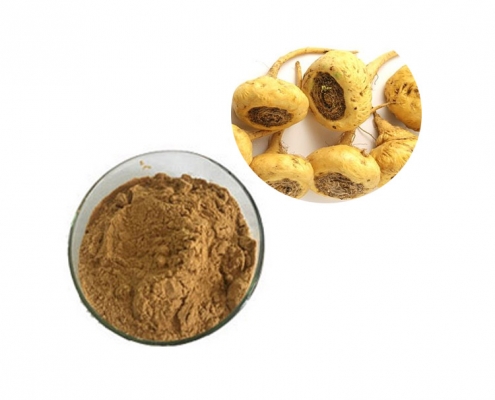 wholesale bulk maca root extract powder macamide maceaene supplier