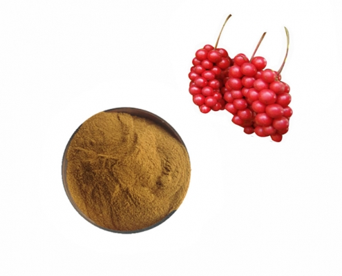 wholesale food grade schisandra chinensis berry fruit extract powder supplier