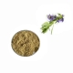 wholesale herbal verbena officinalis blue vervain extract powder supplier
