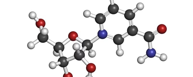 Nicotinamide Riboside