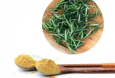Rosemary extract