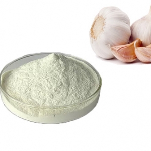 Free Sample dehydrated garlic 80-100 100-120 mesh odorless garlic powder