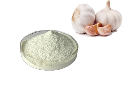 Free Sample dehydrated garlic 80-100 100-120 mesh odorless garlic powder