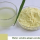 Water soluble ginger concentrate root extract powder 1% -5% gingerols
