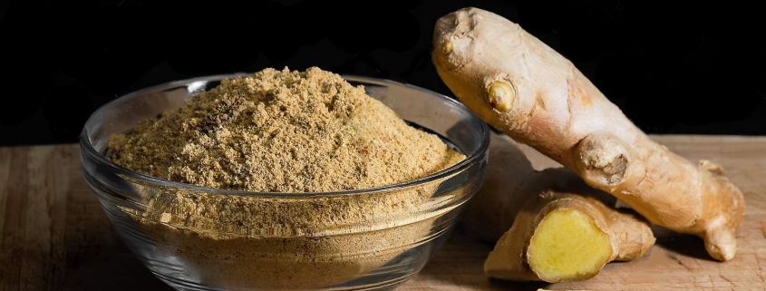 ginger extract powder riotto botanical